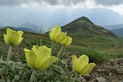 61 Scendendo dalla Bocchetta Triomen al Monte Avaro